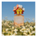 Eau de Parfum MARC JACOBS Daisy Ever So Fresh