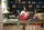 Set ndërtimi LEGO Art LOVE 31214, dekor shtëpie, shumëngjyrësh