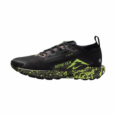 Atlete vrapimi Nike Pegasus Trail 5 Gore-TEX, për meshkuj, të papërshkueshme nga uji, të zeza