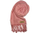 Shall Carlo Romani Pashmina P82, rozë
