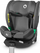 Karrige veture Lionelo Braam-i Size, 0-36 kg, e hirtë