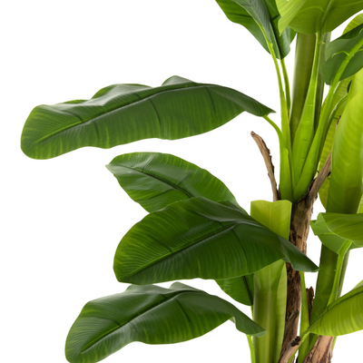 Bimë sintetike Pema Banane 150cm (HM7977)