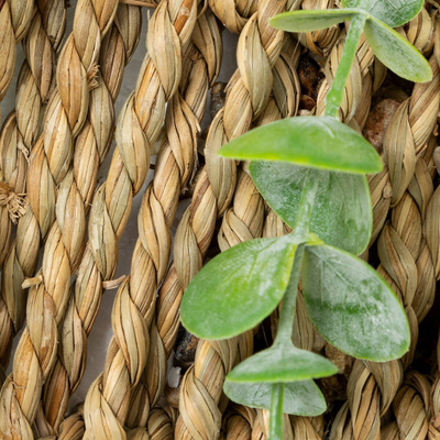 Bimë artificiale eukaliptus në vazo të endur, 70 cm, jeshile
