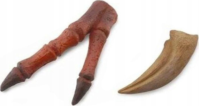 Figurë dinozaurësh CollectA Tyrannosaur Claw and Limb, model dekorativ, shumëngjyrësh