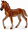 Figurinë kafshe Collecta Peruvian Paso Horse Foal, këlysh kali, ngjyrë gështenjë