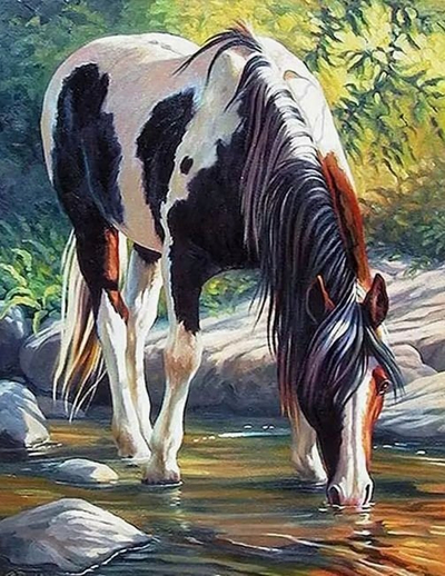 Сет слика дијамантско сликање, коњ во река, 30x40cm, шарен