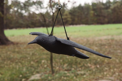 Zmihues zogjsh Bradas Crow 8052, varëse 13cm, plastikë, i zi