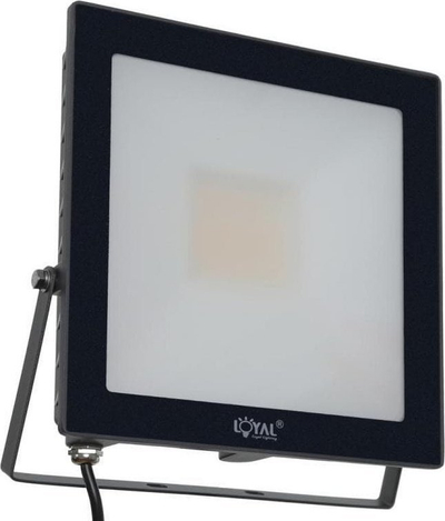 Reflektor i jashtëm LED Lumileds LY-FLE50, 50W, 7200 lm, IP65