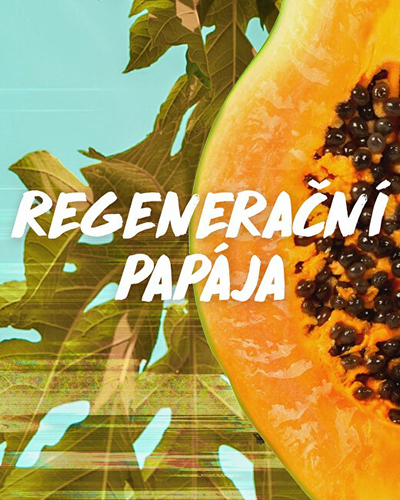 Регенеративен балсам за оштетена коса Garnier Fructis Hair Food, 350 мл