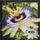 Kartolinë 3D Worth-Keeping Passiflora, letër guri, me ngjyra