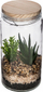 Dekor bimë artificiale Atmosphera Forest In A Jar, kavanoz qelqi, 11x22cm, jeshile