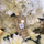 Eau de Parfum Creed White Amber,