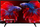 Телевизор GoGEN TVF 40P750T, 40", Full HD, црн