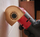 Teh segmenti Milwaukee Starlock 48-90-6050, carbide grit, 76mm, ngjyrë flori