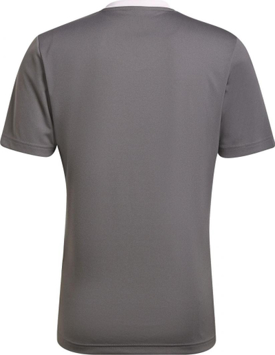 Maicë për meshkuj Adidas ENTRADA 22 JSY Y HE1574 HE1574, M, e hirtë
