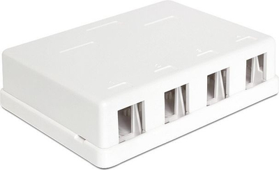 Kuti murale DeLOCK 86208, për 4 module Keystone, e bardhë