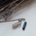 Qafore Engelsrufer ERN-HEAL-LP-M