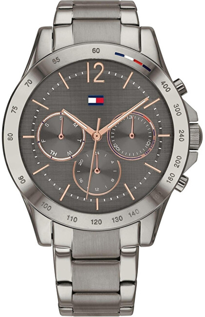 Orë dore Tommy Hilfiger Haven 1782196