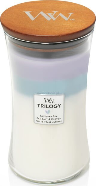 Qiri i madh Dekorativ Debenhams Trilogy Calming Retreat, aromë lavandë dhe çaj i bardhë, me fitil druri