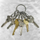 Varëse çelësash Nite Ize KeyRing Plus, çelik inox, 6 karabinerë, argjend