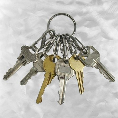 Varëse çelësash Nite Ize KeyRing Plus, çelik inox, 6 karabinerë, argjend