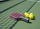 Set pickleball ZOODO P7 Kevlar, 2 raketa, 4 topa, i kuq
