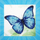Set pune Diamond Painting Diamond Dotz Blue Butterfly, 13x13 cm, blu