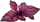 Капсула билка Click &amp; Grow Red Basil, 3 парчиња, за паметна градина, црвен босилек