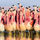 Kartolinë katrore me zarf Roger la Borde Andean Flamingoes, seri BBC Earth, pa tekst, shumëngjyrëshe