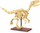 Set ndërtimi CaDA Dinosaur Fossil Velociraptor 1:9, 256 pjesë, që ndriçon në errësirë, bezhë