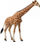 Figurinë lodër Collecta Reticulated Giraffe 004-88534, plastike, edukative, shumëngjyrëshe