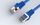 Kabllo rrjeti HP Ethernet CAT6 U UTP, 1m, RJ45, blu