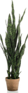 Bimë plastike Emerald Sansevieria, 84 cm, me vazo për zbukurim, jeshile