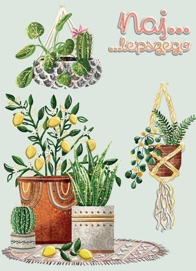 Set kartoline dhe letre shkrimi Henry Holt Card B6 Potted Flowers, formati B6, me lule në vazo
