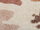 Set jastëkësh dekorativë Beliani CAMASSIA, 30 x 50 cm, pambuk, bezhë