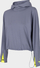 Bluzë sportive 4F Tracksuit Sweatshirt, me kapuç, e shkurtër, gri