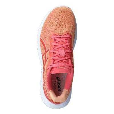 Atlete Asics Gel Pulse 14