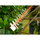 Gërshërë elektrike për shkurre Black&Decker BEHTS451, 550W, teh 60 cm, portokalli
