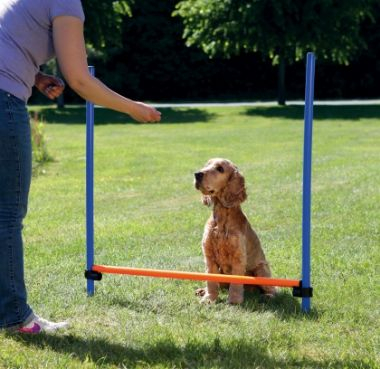 Pengesë agility për qen Trixie Agility Hurdle, 129x115cm, lartësi që rregullohet, blu portokalli