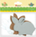 Set dekorime shkumë Titanum Foam Rabbits, 9.5 x 8 cm, 8 copë, shumëngjyrëshe