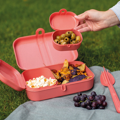 Set lunchbox Koziol PASCAL READY KLIKK, 3 kuti, me pirun thikë lugë, koral