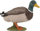 Figurë lodër PAPO Farmyard Friends Mallard, PVC, shumëngjyrëshe