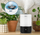 Lagështues ajri Levoit Dual200S Pro Smart, 3L, me ekran LED, i bardhë e i zi