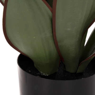 Bimë dekorative sintetike broadleaf sansevieria Φ14×12–51 cm (HM7996)