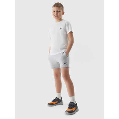 Спортски шорцеви 4F 4FJWSS24TSHOM272, Regular Fit, сиви