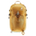 Çantë shpine Deuter Trail 25, 25L, me sistem Aircontact, ngjyra Almond Deepsea