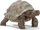 Figura lodër Schleich Giant Turtle Wild Life, breshkë gjigante, plastike, shumëngjyrëshe