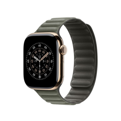 Apple Watch 42mm Magnetic Link, Sage Gray Magnetic Link, M/L