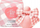 Парфем Nina Ricci Rose Garden EDT, 50 ml, за жени