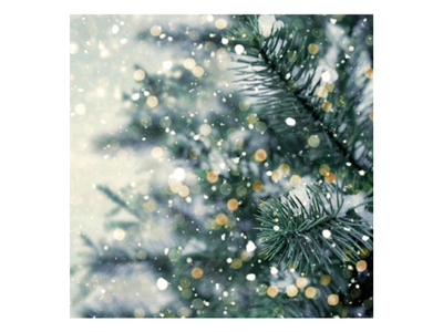 Salveta festash MFP Christmas MES100893, 33x33cm, 3-shtresore, me motiv dimëror